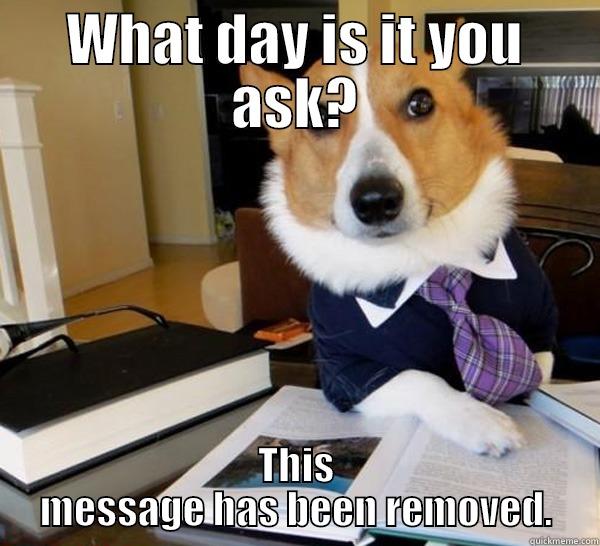 WHAT DAY IS IT YOU ASK? THIS MESSAGE HAS BEEN REMOVED. Lawyer Dog