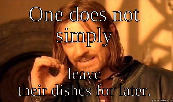 One Dish To Rule Them All . . . - ONE DOES NOT SIMPLY LEAVE THEIR DISHES FOR LATER. Boromir