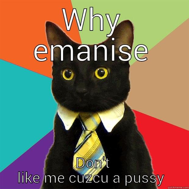 WHY EMANISE DON'T LIKE ME CUZCU A PUSSY  Business Cat