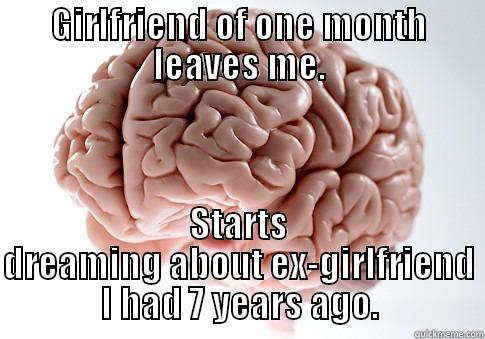 GIRLFRIEND OF ONE MONTH LEAVES ME. STARTS DREAMING ABOUT EX-GIRLFRIEND I HAD 7 YEARS AGO. Scumbag Brain