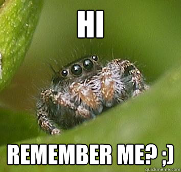 Hi remember me? ;)  Misunderstood Spider