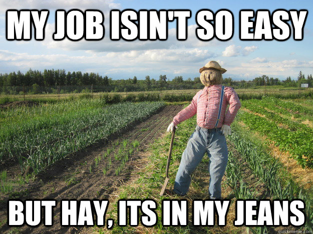 My job isin't so easy but hay, its in my jeans  Scarecrow