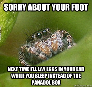 Sorry about your foot next time i'll lay eggs in your ear while you sleep instead of the panadol box - Sorry about your foot next time i'll lay eggs in your ear while you sleep instead of the panadol box  Misunderstood Spider