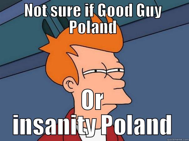 To be precise - NOT SURE IF GOOD GUY POLAND OR INSANITY POLAND Futurama Fry