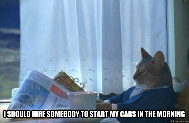  I should hire somebody to start my cars in the morning  Sophisticated Cat