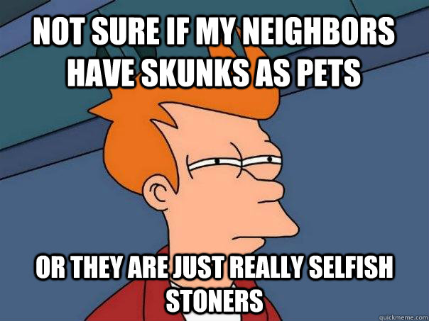 Not sure if my neighbors have skunks as pets Or they are just really selfish stoners - Not sure if my neighbors have skunks as pets Or they are just really selfish stoners  Futurama Fry