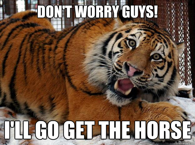 Don't worry guys! I'll go get the horse  Fascinated Tiger