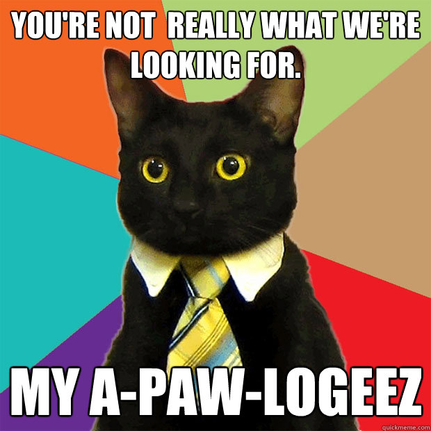 You're not  really what we're looking for. my a-paw-logeez  Business Cat