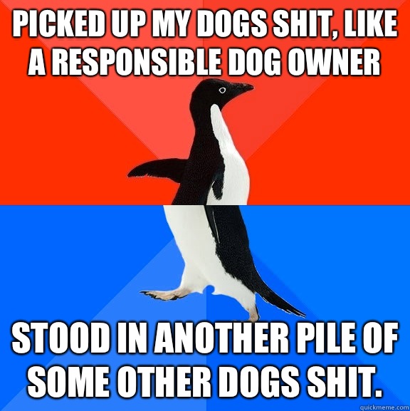 Picked up my dogs shit, like a responsible dog owner Stood in another pile of some other dogs shit.  - Picked up my dogs shit, like a responsible dog owner Stood in another pile of some other dogs shit.   Socially Awesome Awkward Penguin