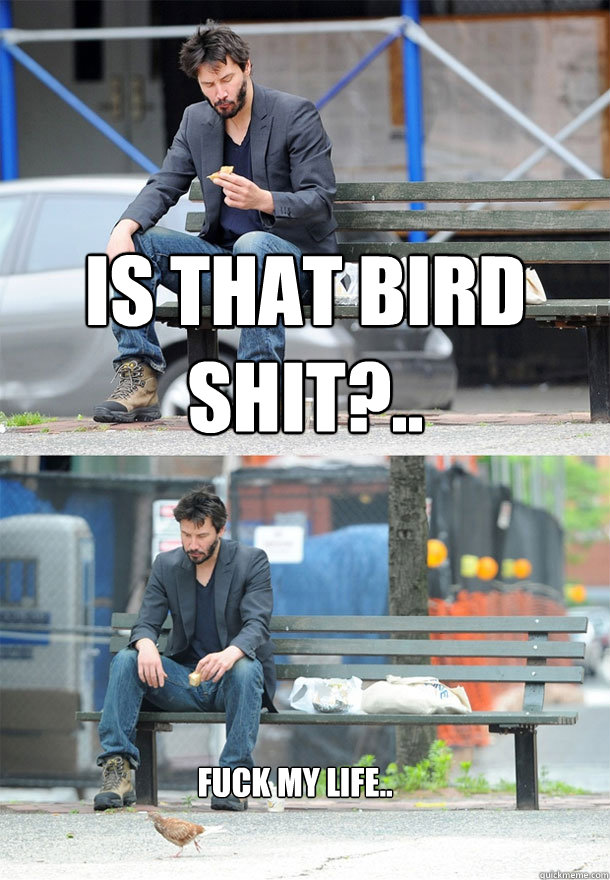 is that bird shit?.. fuck my life..  Sad Keanu