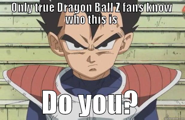 Only true Dragon Ball Z fans know who this is - ONLY TRUE DRAGON BALL Z FANS KNOW WHO THIS IS DO YOU? Misc