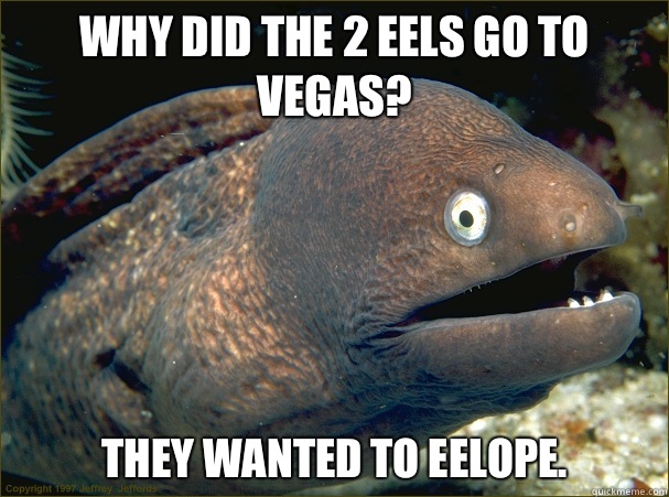 Why did the 2 eels go to Vegas? They wanted to eelope. - Why did the 2 eels go to Vegas? They wanted to eelope.  Bad Joke Eel