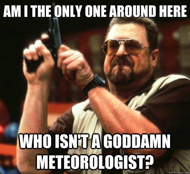 Am I the only one around here who isn't a goddamn meteorologist?  Big Lebowski