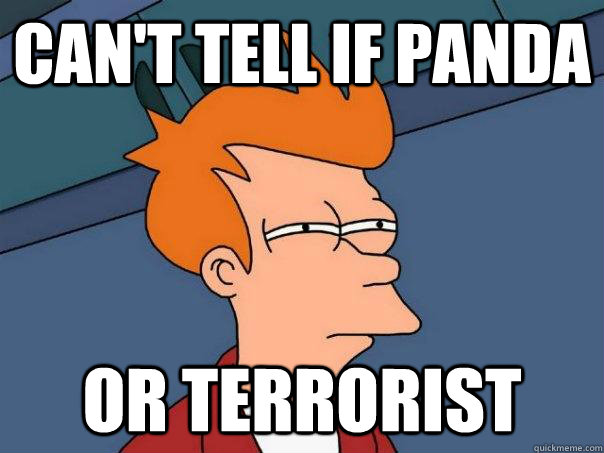 Can't tell if panda Or terrorist - Can't tell if panda Or terrorist  Futurama Fry