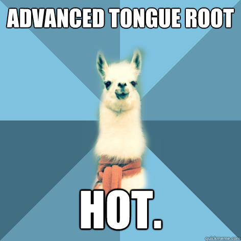 Advanced tongue root Hot.  Linguist Llama