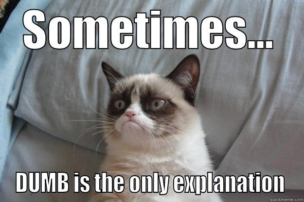 Sometimes....  - SOMETIMES... DUMB IS THE ONLY EXPLANATION Grumpy Cat