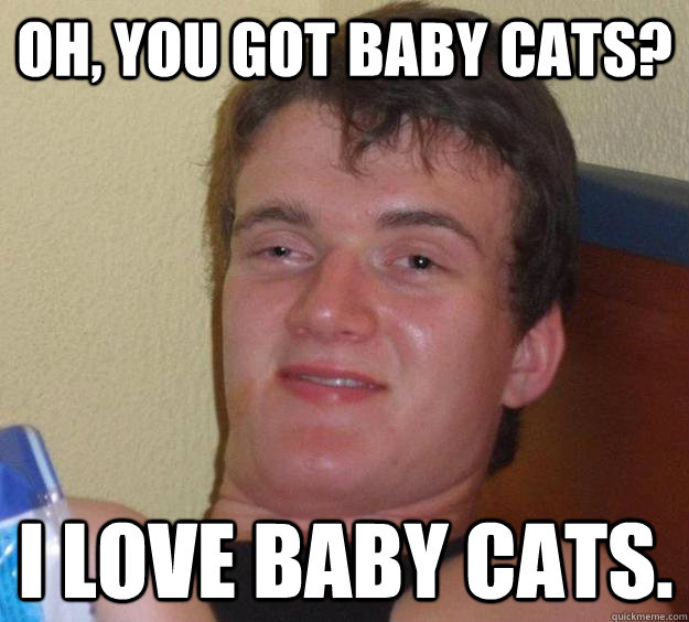 Oh, you got baby cats? I love baby cats.   10 Guy