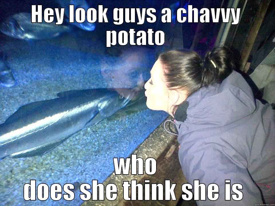 Behind the glass, is more intelligent  - HEY LOOK GUYS A CHAVVY POTATO WHO DOES SHE THINK SHE IS  Misc