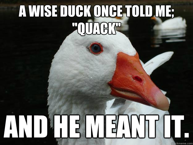 A Wise duck once told me;  