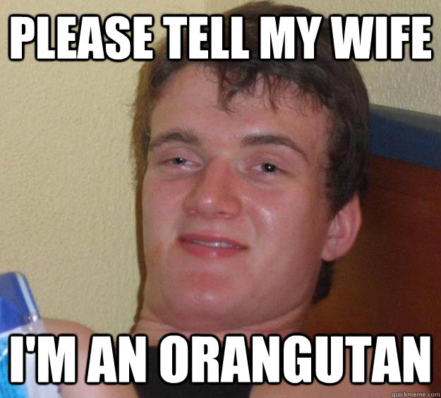 Please tell my wife i'm an orangutan  10 Guy