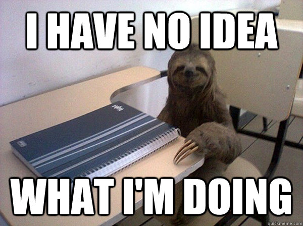 I have no idea What I'm doing - I have no idea What I'm doing  Sloth Student