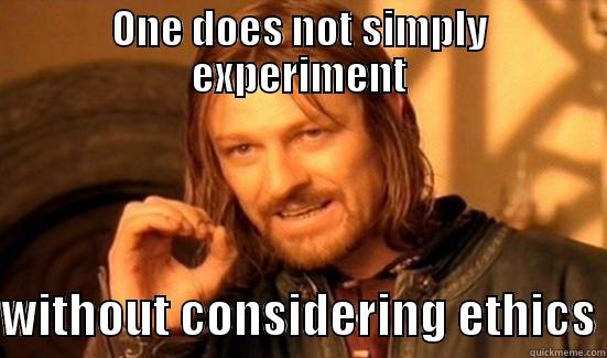 Psychology Ethics - ONE DOES NOT SIMPLY EXPERIMENT  WITHOUT CONSIDERING ETHICS Boromir