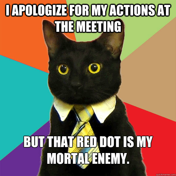 I apologize for my actions at the meeting But that red dot is my mortal enemy.  Business Cat