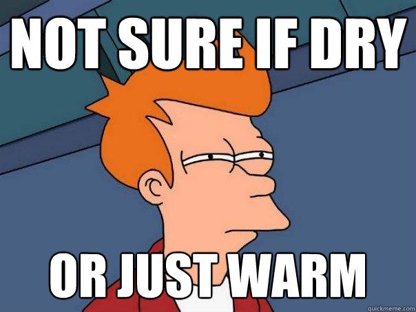 not sure if dry or just warm  Futurama Fry