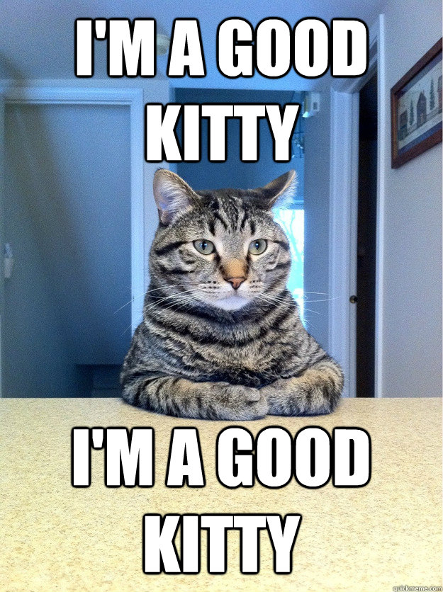 I'm a good kitty I'm a good kitty - I'm a good kitty I'm a good kitty  Chris Hansen Cat