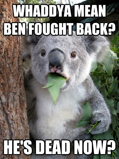 Whaddya mean Ben fought back? He's dead now? - Whaddya mean Ben fought back? He's dead now?  koala bear