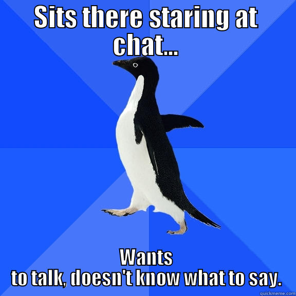 Longing to chat... - SITS THERE STARING AT CHAT... WANTS TO TALK, DOESN'T KNOW WHAT TO SAY. Socially Awkward Penguin