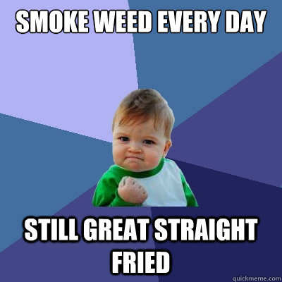 smoke weed every day still great straight fried  Success Kid