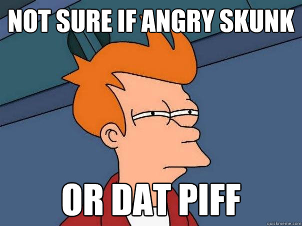 Not Sure if angry skunk or dat piff - Not Sure if angry skunk or dat piff  Futurama Fry