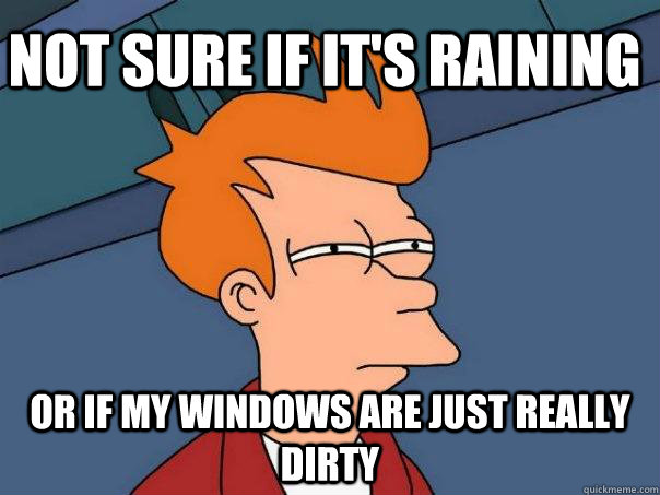 Not sure if it's raining Or if my windows are just really dirty  Futurama Fry