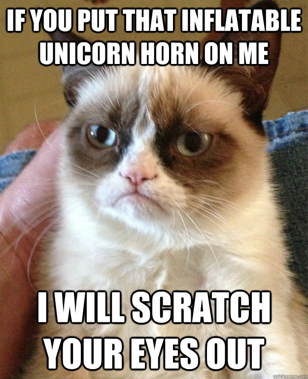 if you put that inflatable unicorn horn on me i will scratch your eyes out  Grumpy Cat