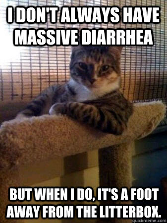 I don't always have massive diarrhea but when I do, it's a foot away from the litterbox.  - I don't always have massive diarrhea but when I do, it's a foot away from the litterbox.   The Most Interesting Cat in the World