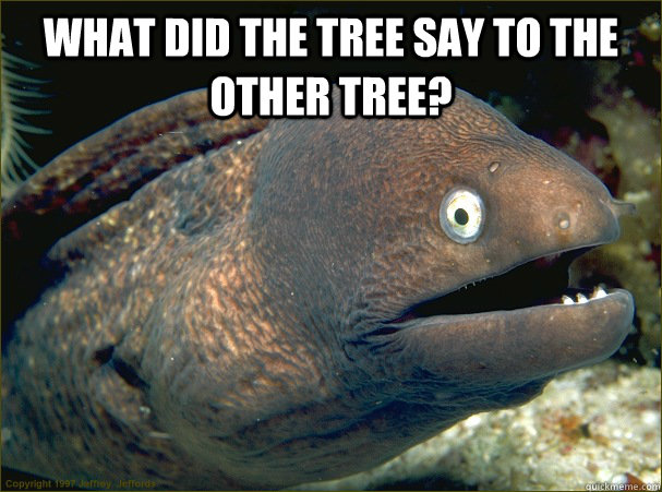 What did the tree say to the other tree?   Bad Joke Eel