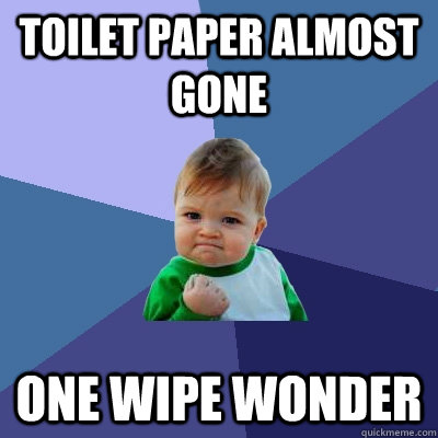 Toilet paper almost gone One wipe wonder  Success Kid