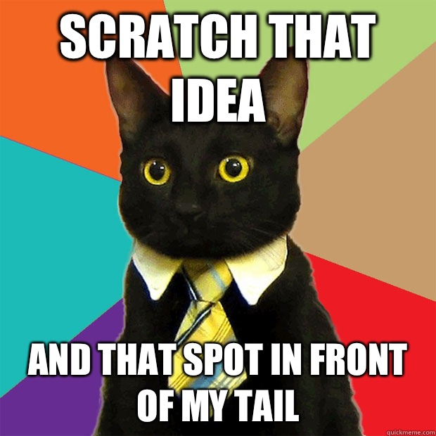 Scratch that idea And that spot in front of my tail  Business Cat