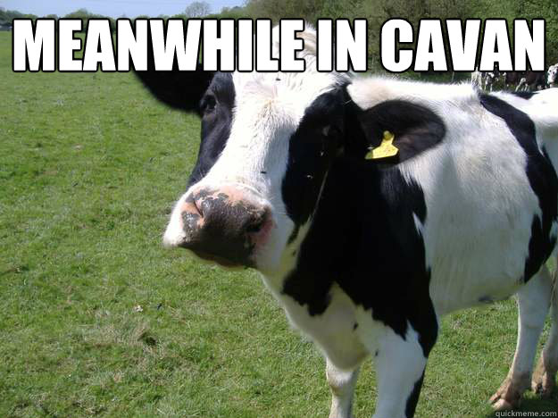 Meanwhile in Cavan  cavan