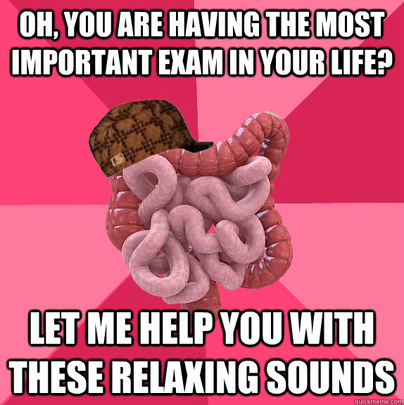 Oh, you are having the most important exam in your life? Let me help you with these relaxing sounds  Scumbag Intestines