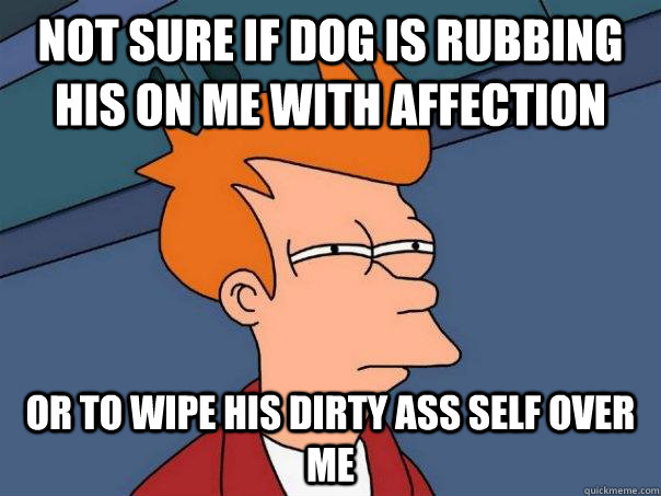 Not sure if dog is rubbing his on me with affection Or to wipe his dirty ass self over me - Not sure if dog is rubbing his on me with affection Or to wipe his dirty ass self over me  Futurama Fry