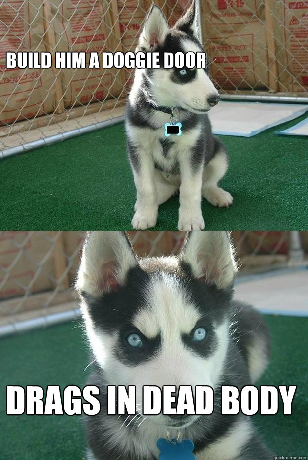 build him a doggie door drags in dead body  Insanity puppy