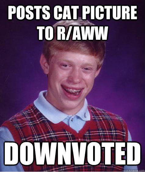 Posts cat picture to r/aww downvoted - Posts cat picture to r/aww downvoted  Bad Luck Brian