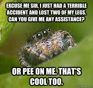 Excuse me sir, I just had a terrible accident and lost two of my legs.  Can you give me any assistance? Or pee on me. That's cool too.  Misunderstood Spider