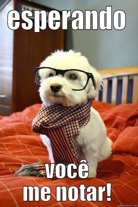 ESPERANDO VOCÊ ME NOTAR! Hipster Dog