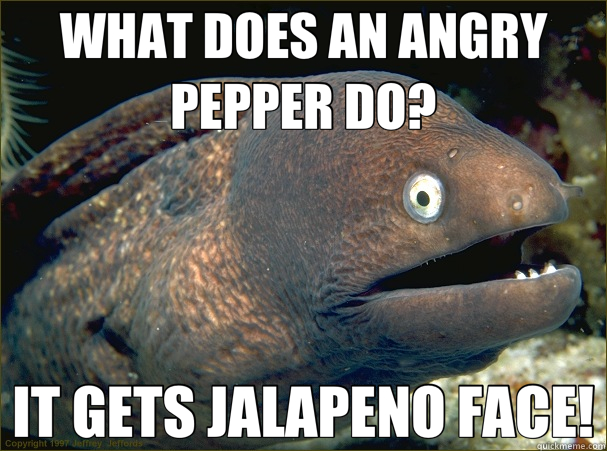 WHAT DOES AN ANGRY PEPPER DO? IT GETS JALAPENO FACE!  Bad Joke Eel