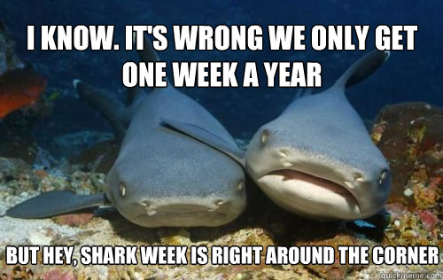 I know. It's wrong we only get one week a year But hey, shark week is right around the corner - I know. It's wrong we only get one week a year But hey, shark week is right around the corner  Compassionate Shark Friend