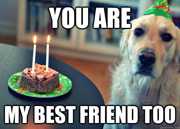 You are my best friend too - You are my best friend too  Sad Birthday Dog