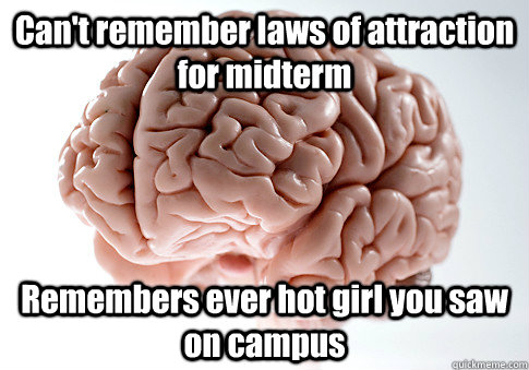 Can't remember laws of attraction for midterm Remembers ever hot girl you saw on campus    Scumbag Brain